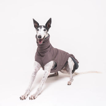 Greyhound dog wearing Snootly fluffy reversible sleeveless sweater in charcoal grey on white background