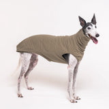 Greyhound dog wearing Snootly fluffy reversible sleeveless sweater in khaki green on white background