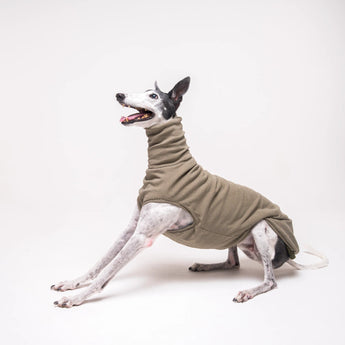 Greyhound dog wearing Snootly fluffy reversible sleeveless sweater in khaki green on white background