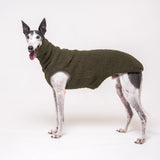Greyhound dog wearing Snootly fluffy reversible sleeveless sweater in khaki green on white background