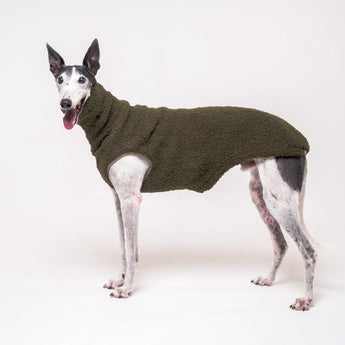 Greyhound dog wearing Snootly fluffy reversible sleeveless sweater in khaki green on white background