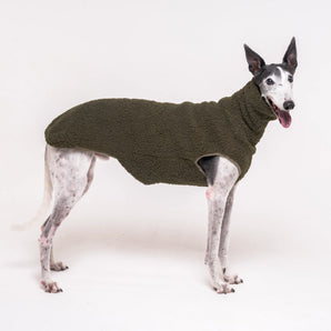 Greyhound dog wearing Snootly fluffy reversible sleeveless sweater in khaki green on white background