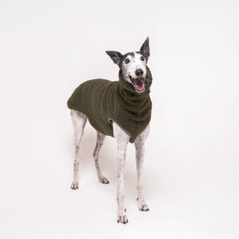 Greyhound dog wearing Snootly fluffy reversible sleeveless sweater in khaki green on white background