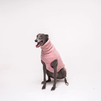 Greyhound dog wearing Snootly fluffy reversible sleeveless sweater in marshmallow pink on white background
