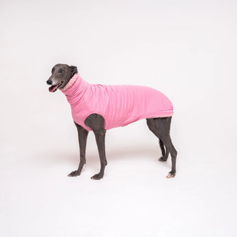 Greyhound dog wearing Snootly fluffy reversible sleeveless sweater in marshmallow pink on white background
