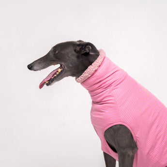 Greyhound dog wearing Snootly fluffy reversible sleeveless sweater in marshmallow pink on white background
