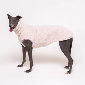 Greyhound dog wearing Snootly fluffy reversible sleeveless sweater in vanilla on white background
