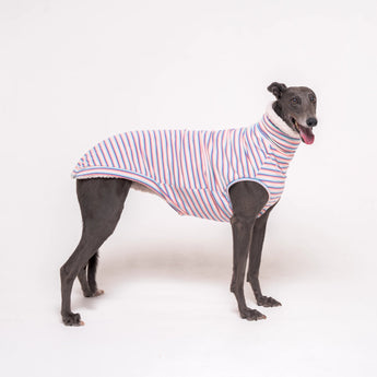 Greyhound dog wearing Snootly fluffy reversible sleeveless sweater in vanilla on white background
