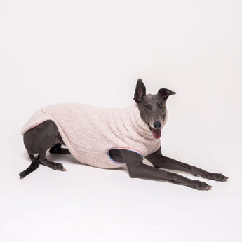 Greyhound dog wearing Snootly fluffy reversible sleeveless sweater in vanilla on white background
