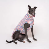 Greyhound dog wearing Snootly fluffy reversible sleeveless sweater in vanilla on white background
