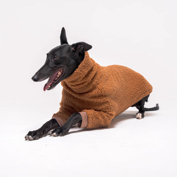 Greyhound dog wearing Snootly fluffy reversible sweater in caramel on white background