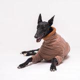 Greyhound dog wearing Snootly fluffy reversible sweater in caramel on white background