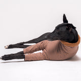 Greyhound dog wearing Snootly fluffy reversible sweater in caramel on white background