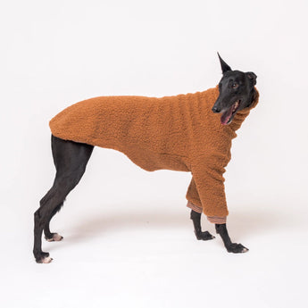 Greyhound dog wearing Snootly fluffy reversible sweater in caramel on white background