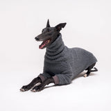 Greyhound dog wearing Snootly fluffy reversible sweater in charcoal grey on white background