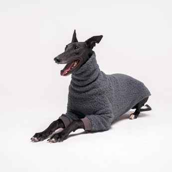 Greyhound dog wearing Snootly fluffy reversible sweater in charcoal grey on white background