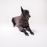 Greyhound dog wearing Snootly fluffy reversible sweater in charcoal grey on white background
