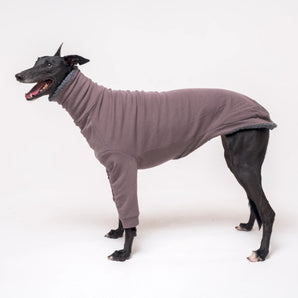 Greyhound dog wearing Snootly fluffy reversible sweater in charcoal grey on white background