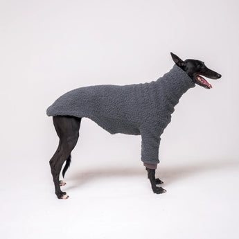 Greyhound dog wearing Snootly fluffy reversible sweater in charcoal grey on white background