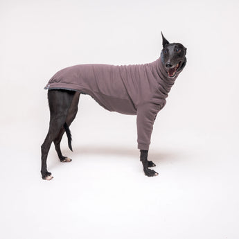 Greyhound dog wearing Snootly fluffy reversible sweater in charcoal grey on white background