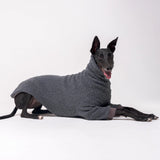 Greyhound dog wearing Snootly fluffy reversible sweater in charcoal grey on white background