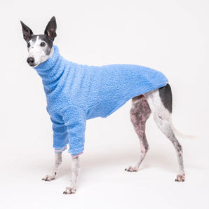 Greyhound dog wearing Snootly fluffy reversible sweater in cornflower blue on white background
