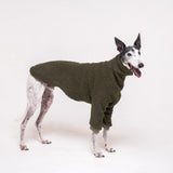 Greyhound dog wearing Snootly fluffy reversible sweater in khaki green on white background