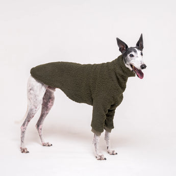 Greyhound dog wearing Snootly fluffy reversible sweater in khaki green on white background