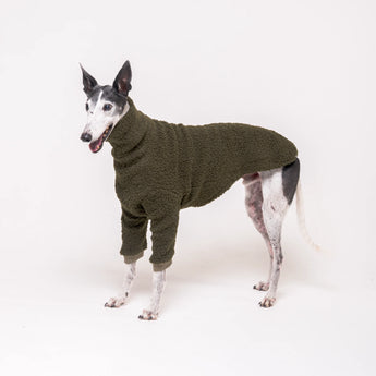 Greyhound dog wearing Snootly fluffy reversible sweater in khaki green on white background