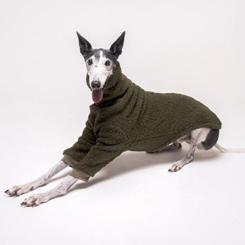 Greyhound dog wearing Snootly fluffy reversible sweater in khaki green on white background