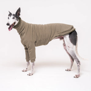 Greyhound dog wearing Snootly fluffy reversible sweater in khaki green on white background