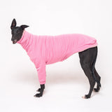 Greyhound dog wearing Snootly fluffy reversible sweater in marshmallow pink on white background