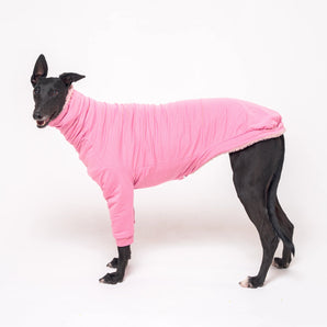 Greyhound dog wearing Snootly fluffy reversible sweater in marshmallow pink on white background