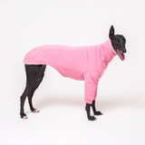 Greyhound dog wearing Snootly fluffy reversible sweater in marshmallow pink on white background