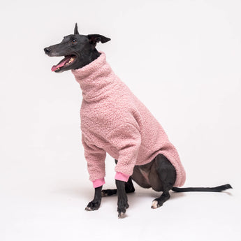 Greyhound dog wearing Snootly fluffy reversible sweater in marshmallow pink on white background