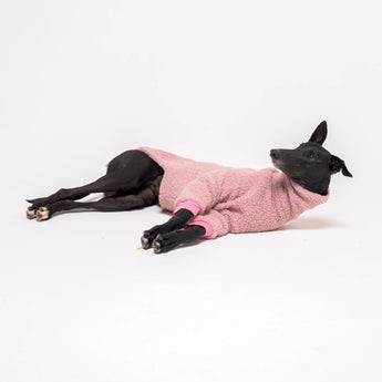 Greyhound dog wearing Snootly fluffy reversible sweater in marshmallow pink on white background