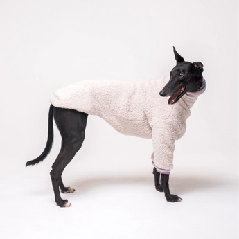 Greyhound dog wearing Snootly fluffy reversible sweater in vanilla on white background
