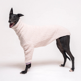 Greyhound dog wearing Snootly fluffy reversible sweater in vanilla on white background