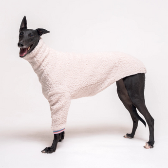 Greyhound dog wearing Snootly fluffy reversible sweater in vanilla on white background