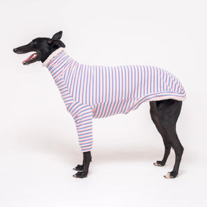 Greyhound dog wearing Snootly fluffy reversible sweater in vanilla on white background