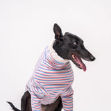 Greyhound dog wearing Snootly fluffy reversible sweater in vanilla on white background