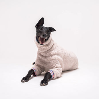 Greyhound dog wearing Snootly fluffy reversible sweater in vanilla on white background