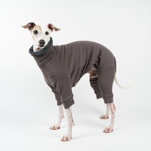 Fluffy Reversible Onesie in Charcoal - Italian Greyhound
