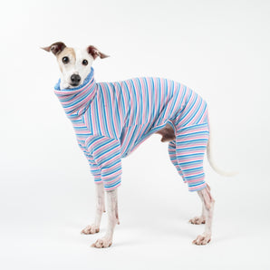 Fluffy Reversible Onesie in Cornflower Blue - Italian Greyhound