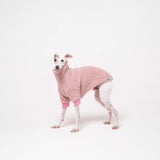 Italian Greyhound dog wearing a fleece fluffy reversible sweater in marshmallow pink on a white backdrop 