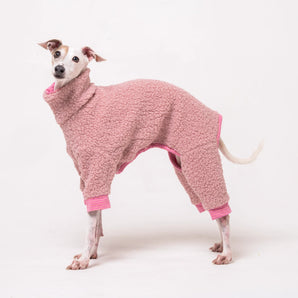 Dog wearing a fluffy reversible pink fleece onesie on a white background