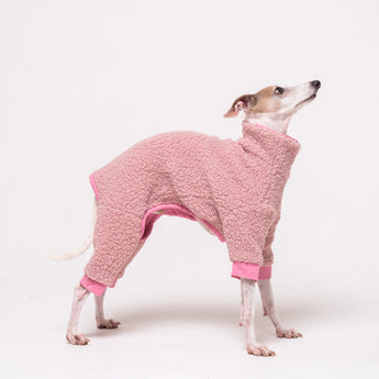 Italian Greyhound wearing a pink fluffy reversible onesie  on a white background