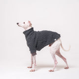 Italian Greyhound dog wearing a fleece fluffy reversible sweater in charcoal grey standing on a white background