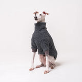 Italian Greyhound dog wearing a fleece fluffy reversible sweater in charcoal grey standing on a white background