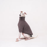 Italian Greyhound dog wearing a fleece fluffy reversible sweater in charcoal grey standing on a white background